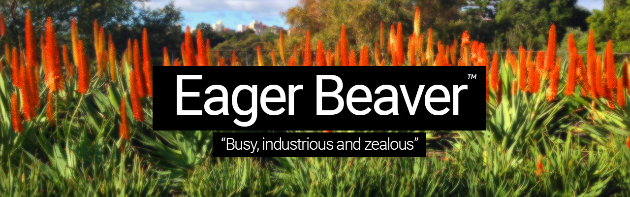 Eager Beaver - Busy, industrious and zealous