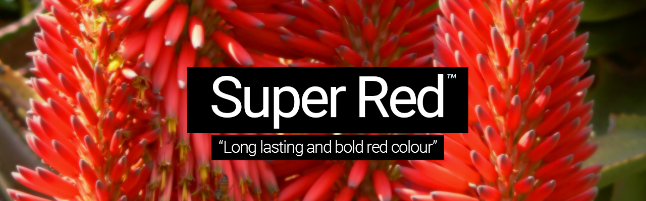 Super Red - Long lasting and bold red colour