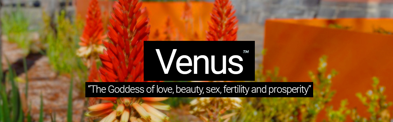 Artboard 33 Venus - The Goddess of love, beauty, sex, fertility and prosperity