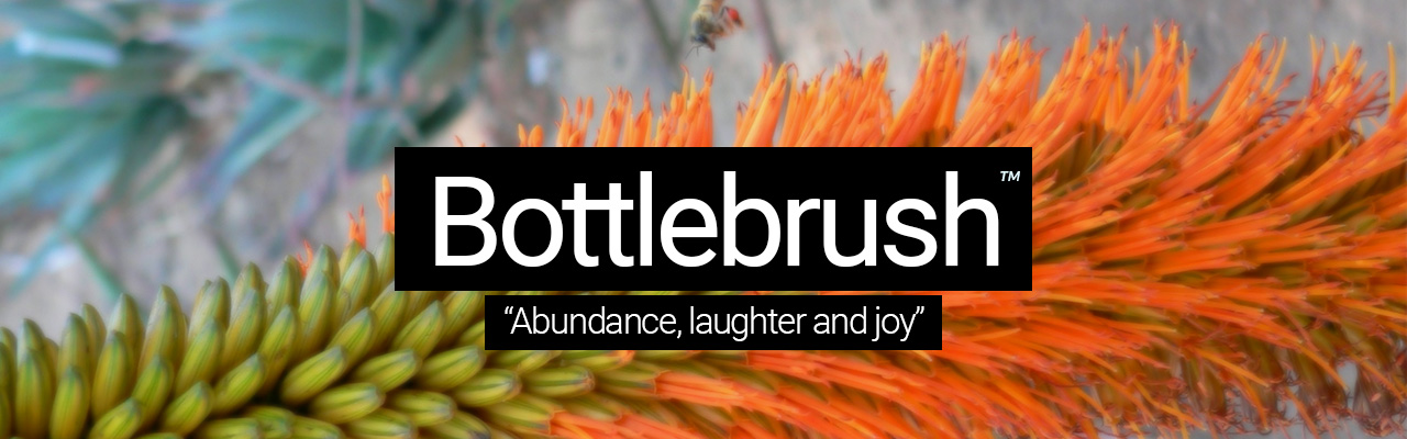 Bottlebrush - Abundance, laughter and joy