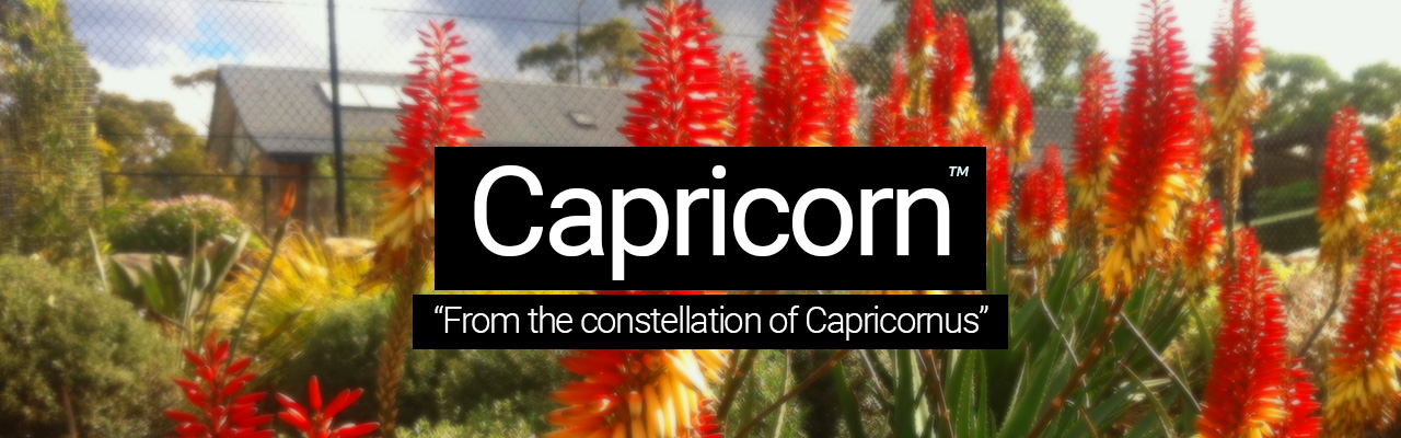 Capricorn - From the constellation of Capricornus