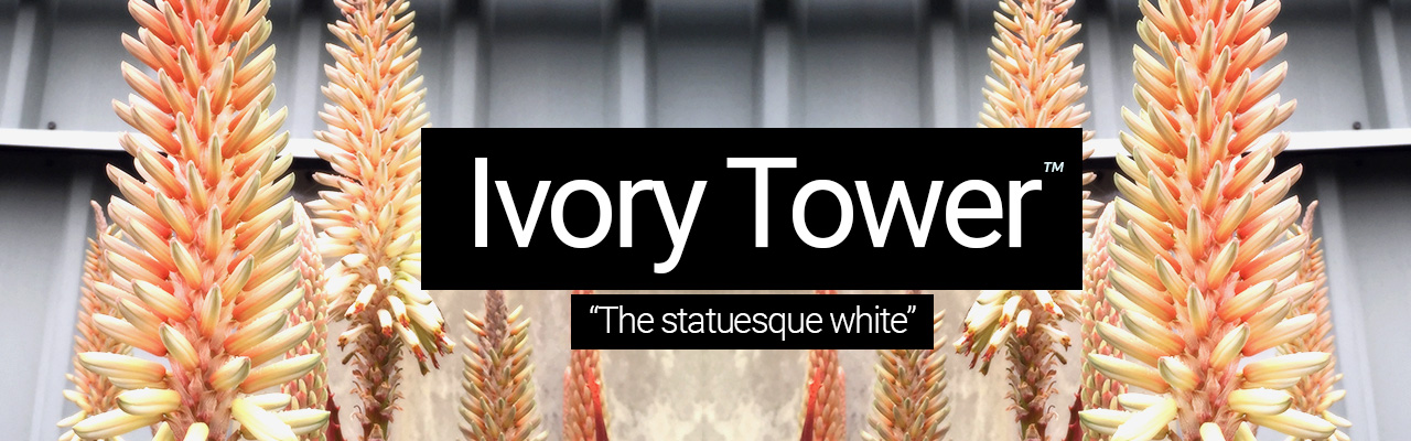 Ivory Tower - The statuesque white